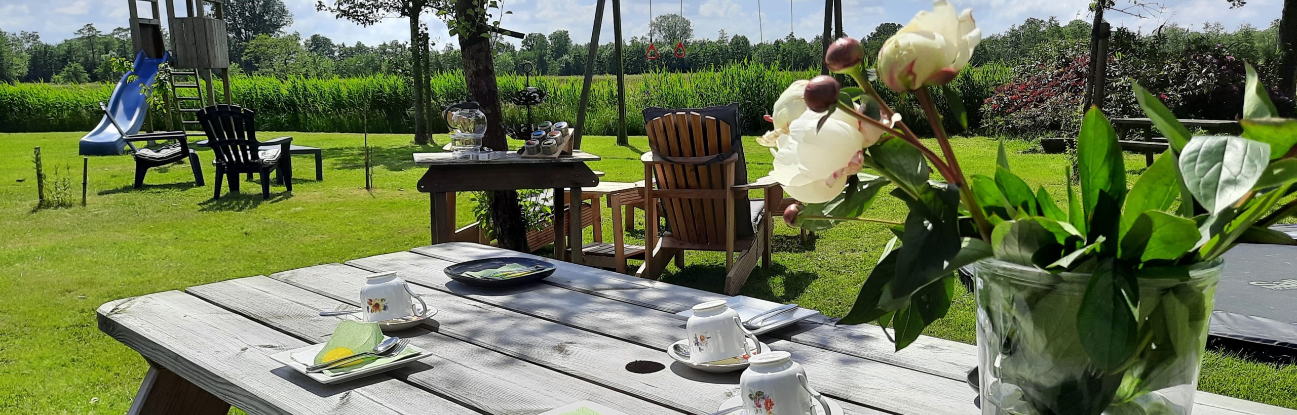 hightea