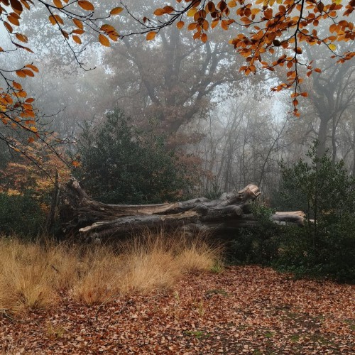 Wandel- en fietsroutes in de omgeving